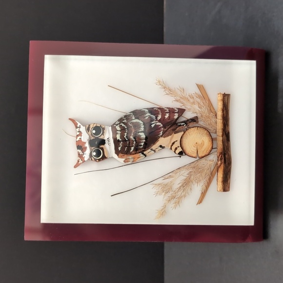 Vintage Lucite Encased Carved And painted Owl In a Maroon Frame. - Picture 2 of 9